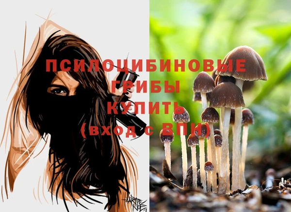 apvp Аркадак
